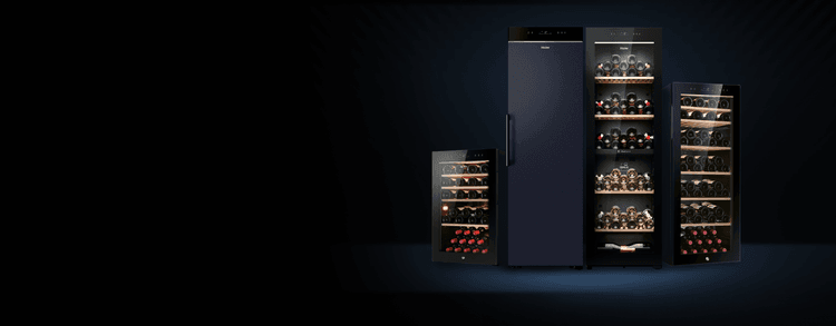 Una cantina per i tuoi vini più pregiati