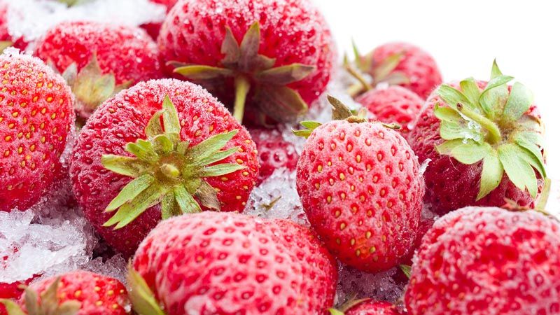 Fast Freeze-Technologie