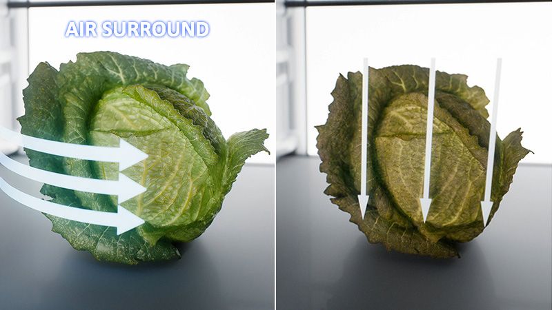 Aria fredda uniforme per alimenti più freschi